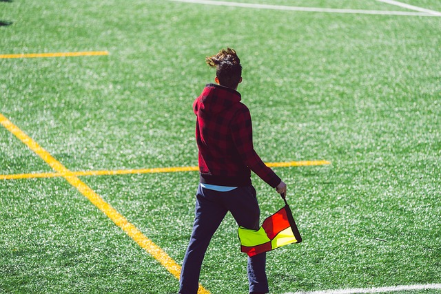 他不仅在内 他不仅在内