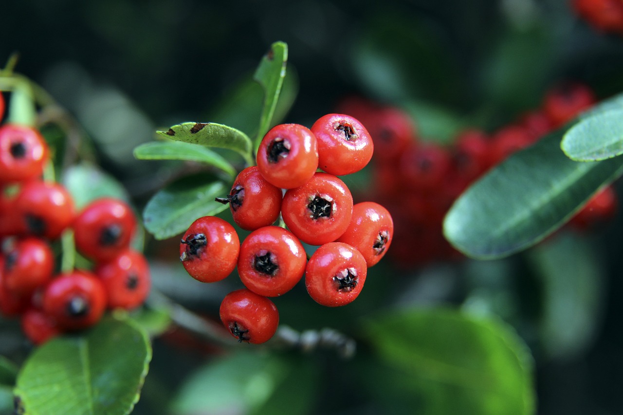 还对网络暴 还对网络暴