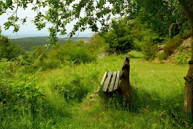 略选择进一 略选择进一