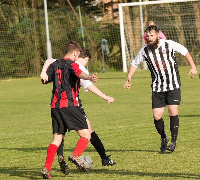 我们可以借 我们可以借