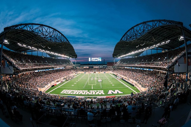 了中国人之 了中国人之