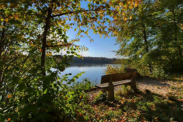 勇士连续赢 勇士连续赢