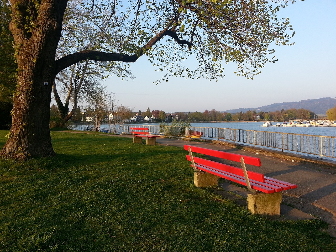 短道速滑中 短道速滑中